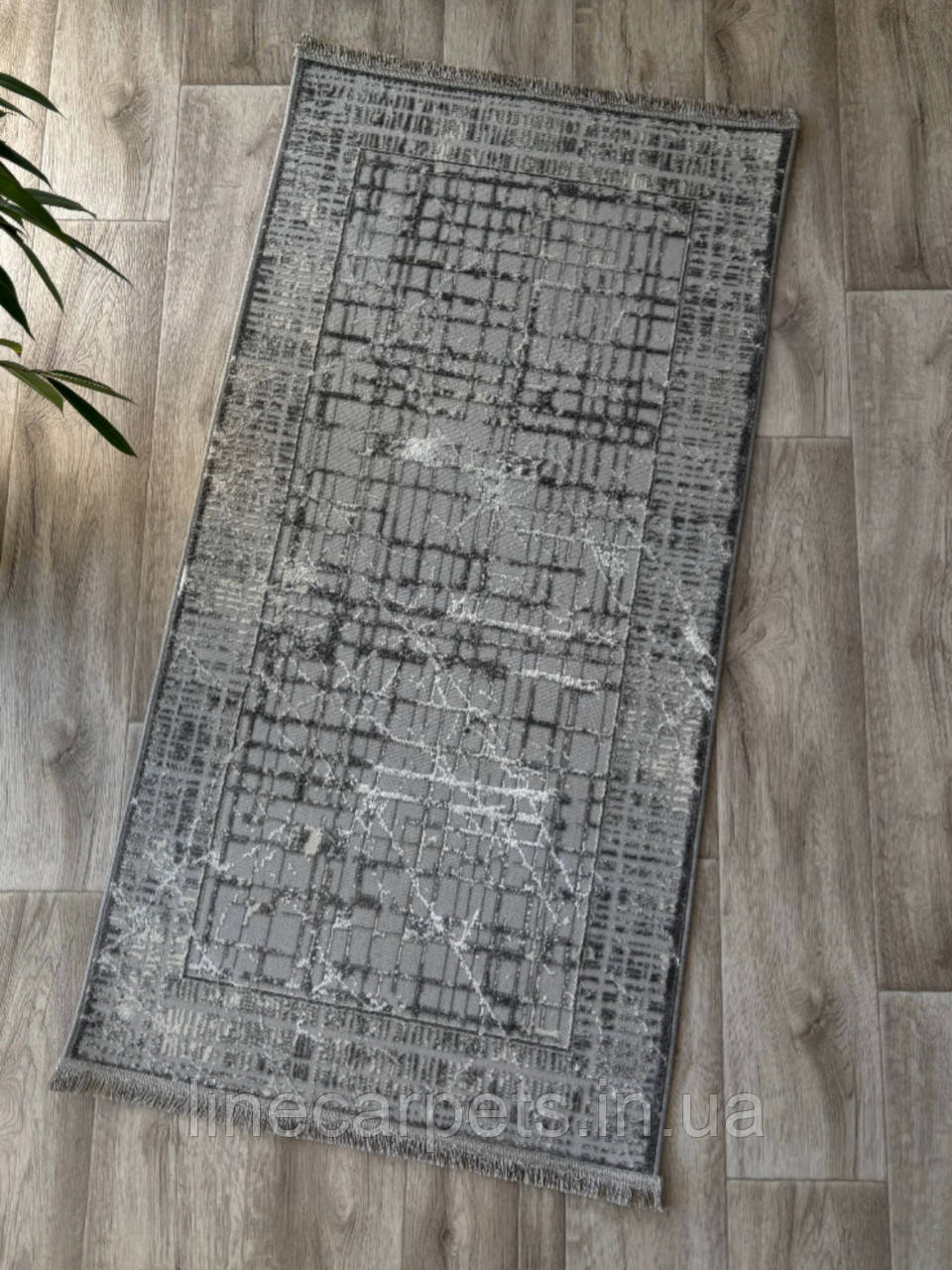 Сучасний  сірий килим PLATO 09484A IVORY-L.BEIGE