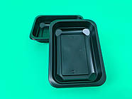 Ланчбокс T-1 187/137/37 чорний PP PL (50 шт.)