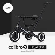 Велосипед триколісний Colibro TREMIX 6 в 1 CT-43-03 Magnetic чорний з батьківською ручкою, фото 2