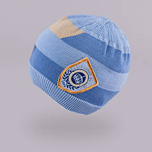 Демісезона шапка для хлопчика TuTu арт. 3-002509(48-52, 52-56)