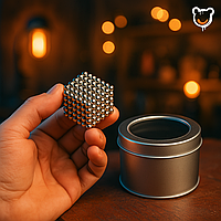 Магнітний куб Neocube «Silver Skill» 216 кульок із NdFeB