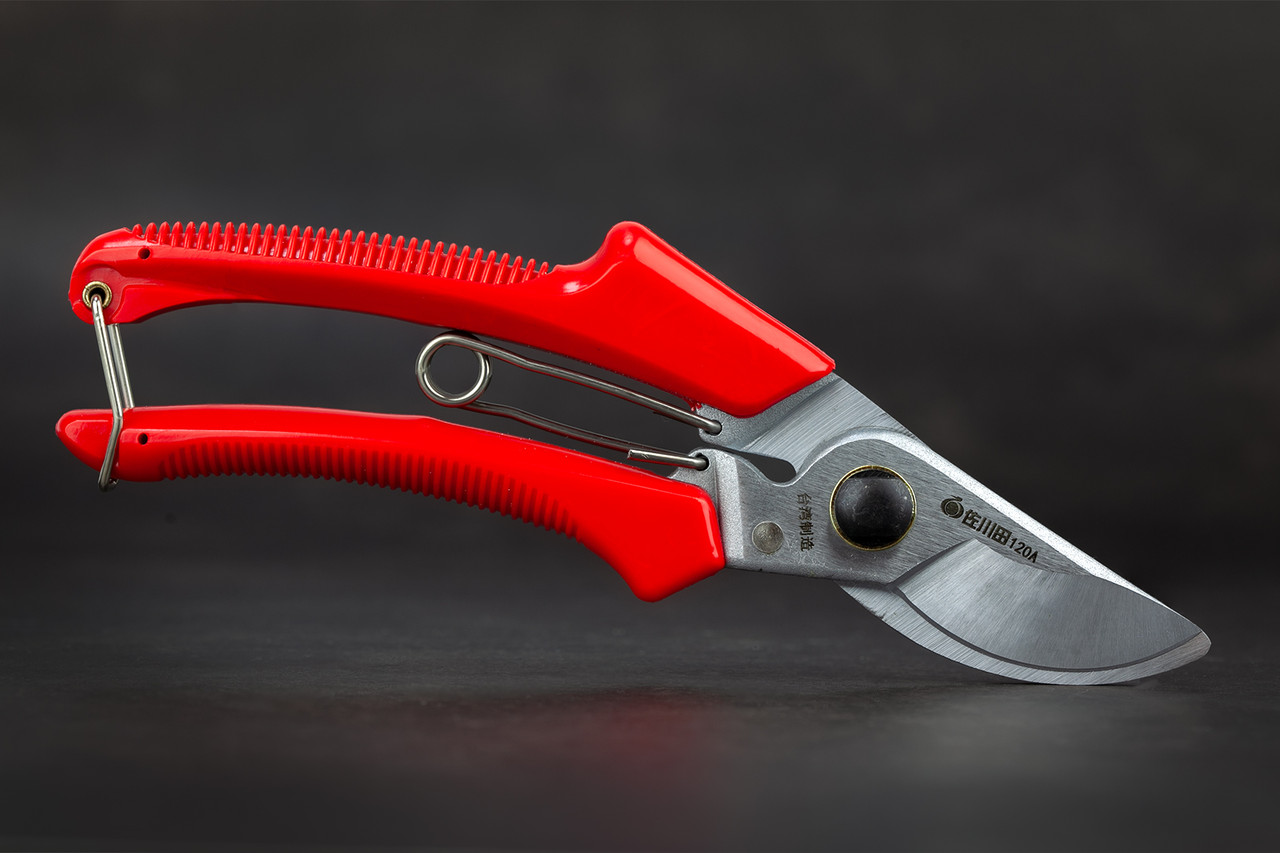 Секатор садовий площинний Sagawata, 200 мм із високовуглецевої сталі, фото 1