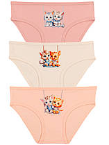 Трусики дитячі для дівчаток ТМ Baykar, Туреччина оптом р.3 (122-128 см)