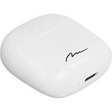 Promo Ціна! Навушники Media-Tech R-Phones White (MT3608W) - тільки на ZaGrosh.com.ua, фото 5
