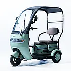 Електроскутер триколісний Forte TRINE-P800 800 Вт, Шины 10'', фото 2