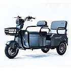 Електроскутер триколісний FORTE CARGO-P800 Вт, фото 2