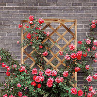 Ранг -ящик спалений олов'яними решітками L