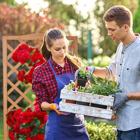 Ящики для растений с решетчатой стенкой