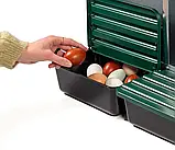 Гніздо для курей несучок з яйце збірником 4 секції, фото 3