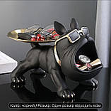 Фігурка статуетка класичного французького бульдога з тацями /19,5 см, фото 3