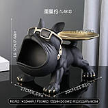 Фігурка статуетка класичного французького бульдога з тацями /19,5 см, фото 4