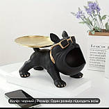 Фігурка статуетка класичного французького бульдога з тацями /19,5 см, фото 5