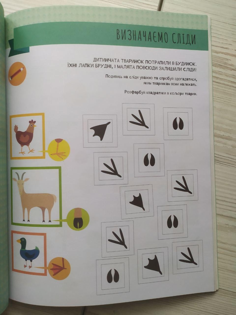 Product image preview