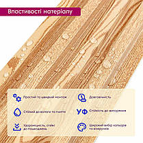 Рейка декоративна WPC стінова сосна 3000х160х23мм SW-00001526, фото 5