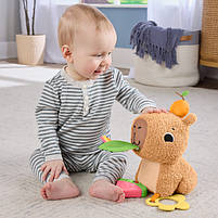 Розвиваюча м'яка іграшка "Капібара" Fisher-Price HYR54, фото 6