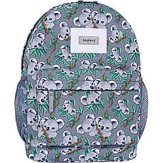 Рюкзак Bagland Молодіжний 17 л. сублімація 989 (00533664)