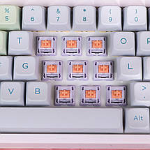 Набір перемикачів EPOMAKER Wisteria  30 шт. Набір механічних клавіатурних перемикачів, фото 4