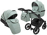 Коляска універсальна 2в1 Adamex Nola Eco SA-20 (сумка, кошик, чохол на ніжки) Нефрит, фото 2