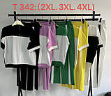 0342 Спортивний костюм жіночий батал (3 од: 2XL,3XL,4XL), фото 3