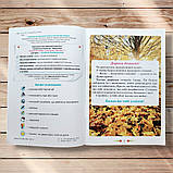 Зошит з розвитку мовлення 2 клас Малюй словом Авт: Пономарьова К. Вид: Оріон, фото 2