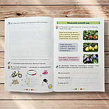 Зошит з розвитку мовлення 2 клас Малюй словом Авт: Пономарьова К. Вид: Оріон, фото 4