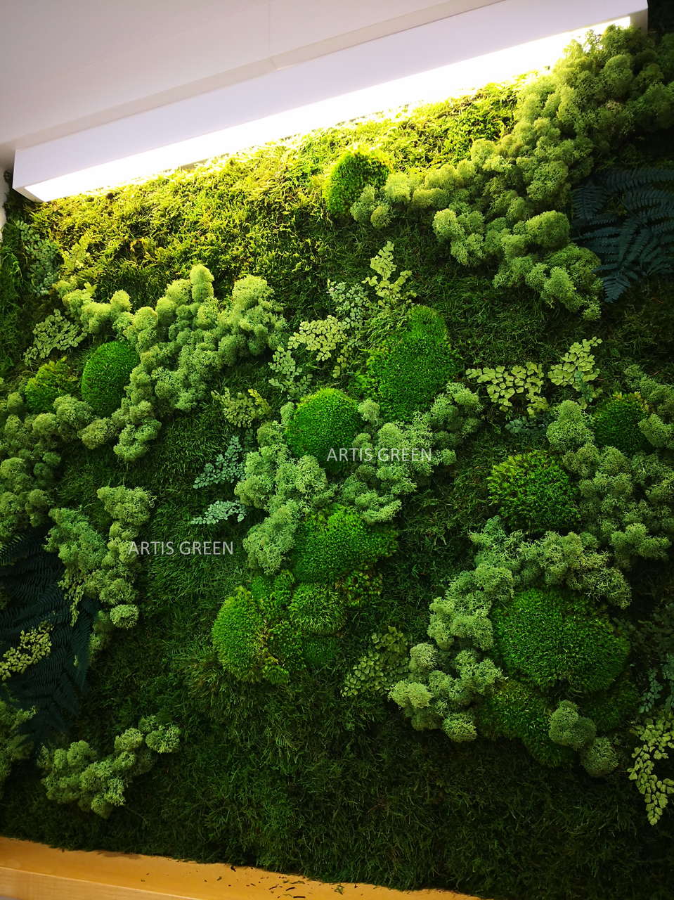 Панно, картина з рослинами та мохом стабілізованим натуральним, 1*1 метр, P331, фото 1