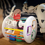 Baby Einstein Іграшка-сортер Zen & Cal’s Playground, фото 4