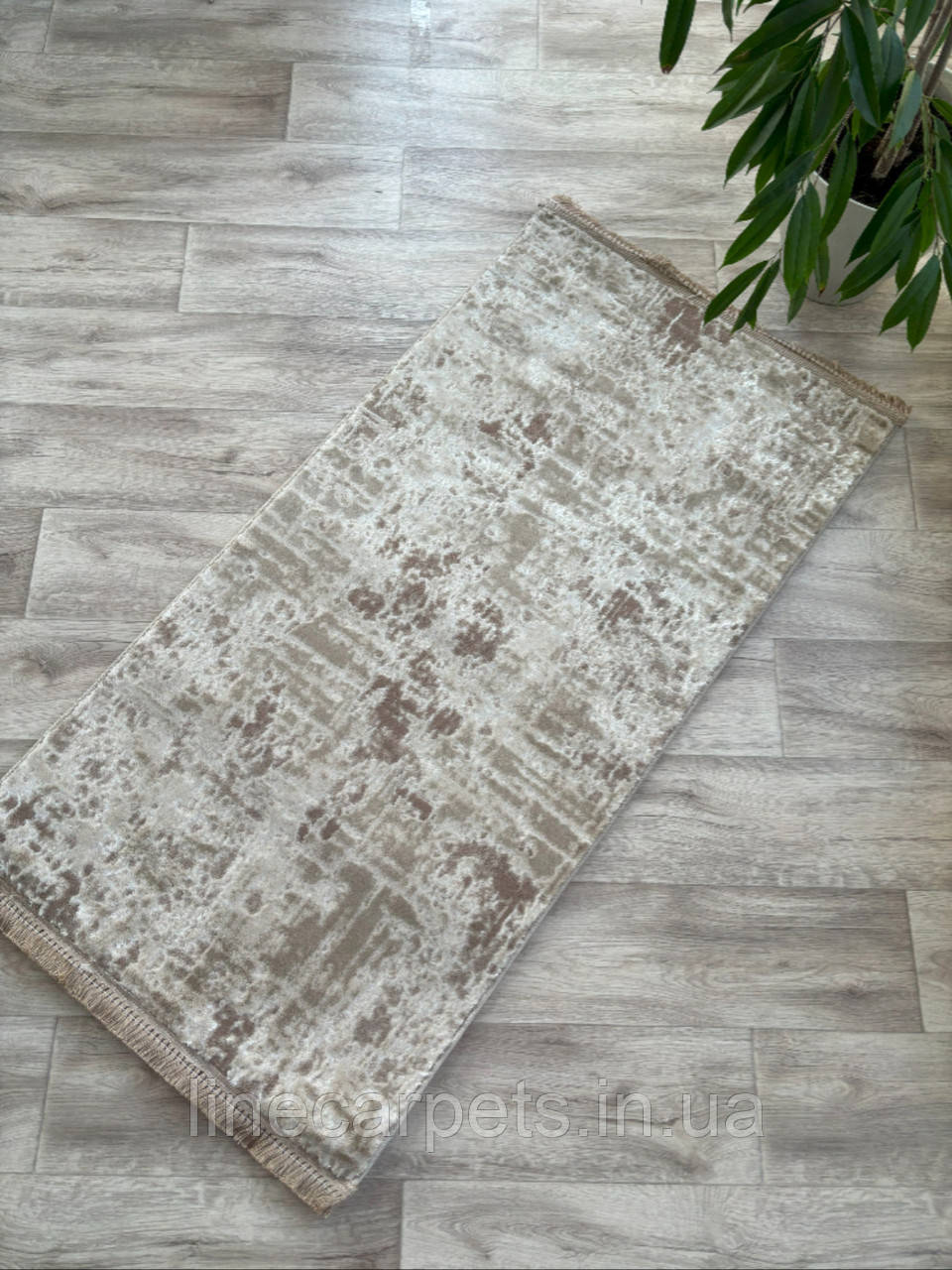 Сучасний килим LEVADO 09042A  L.BEIGE/BEIGE