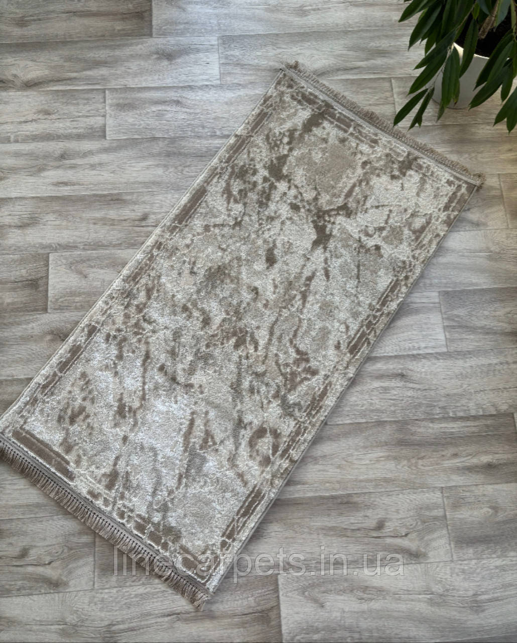 Сучасний бежевий килим LEVADO 09039A VISONE/BEIGE