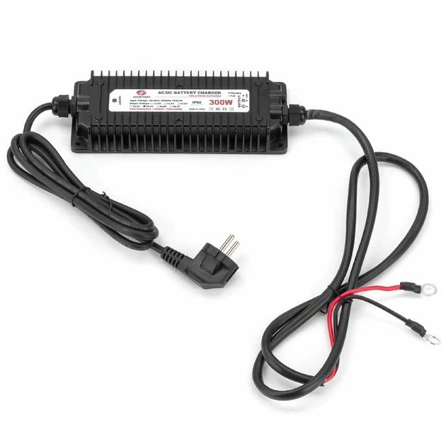 Вологозахищений зарядний пристрій WENGAO WG-24C300S з 265V на 10A DC29.2V (LiFePO4), без вентилятора, фото 1