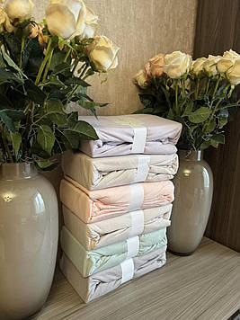 Простирадло на резинці трикотажне 160*200 см із двома наволочками 50*70 см бавовняне двоспальне Туреччина Sofia Soft