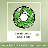 Зелені Кольорові Контактні Лінзи Дарк Грін | Лінзи для краси ( Нульовки ) | Крейзі/Косплей/Хелловін| Для світлих – чорних очей, фото 2