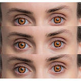 Карі Кольорові Контактні Лінзи Медові | Лінзи для краси ( Нульовки ) | Крейзі/Косплей/Хелловін| Для світлих – чорних очей, фото 4