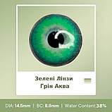 Зелені Кольорові Контактні Лінзи Грін Аква | Лінзи для краси ( Нульовки ) | Натуральні-Природні | Для світлих - чорних очей, фото 2