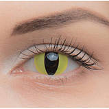 Жовті Кольорові Контактні Лінзи Кет Елоу | Лінзи для краси ( Нульовки ) | Крейзи/Косплей/Хэллоуин| Для светлых - черных глаз, фото 3