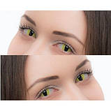 Жовті Кольорові Контактні Лінзи Кет Елоу | Лінзи для краси ( Нульовки ) | Крейзи/Косплей/Хэллоуин| Для светлых - черных глаз, фото 4