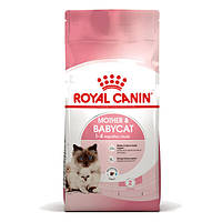 Royal Canin Babycat — Сухий корм із птицею для кошенят з 1 по 4 місяць 10 кг