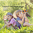 Ігровий набір для спостреження за комахами "Explorer" арт. 229, фото 3