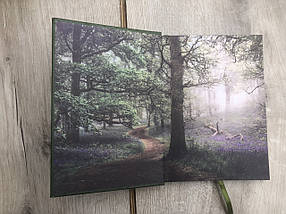 Дика первозданна краса Юліанна Караман, фото 2