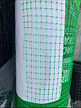 Вольєрна сітка для птахів на метраж комірка 13х13 Ширина 1м, фото 3