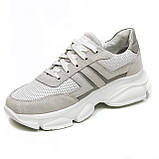 Жіночі шкіряні кросівки біло-сірого кольору на шнурівці з перфорацією Sergio Billini t096-02-12-07 розмір 36, фото 8