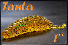 Tanta 1"