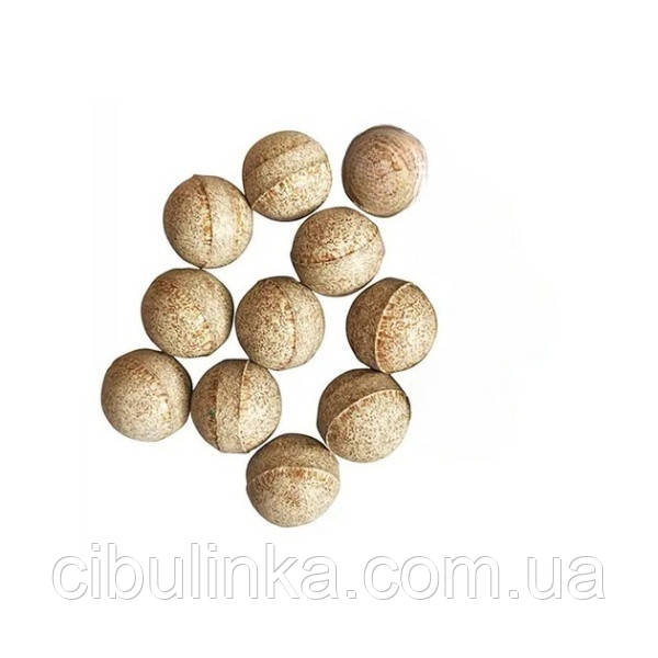 HD форматында секс дискотекасын қараңыз