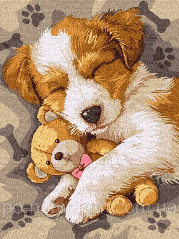 Розмальовка по номерах Ідейка Сплячий джек-рассел ©art_selena_ua (KHO6628) 30 х 40 см