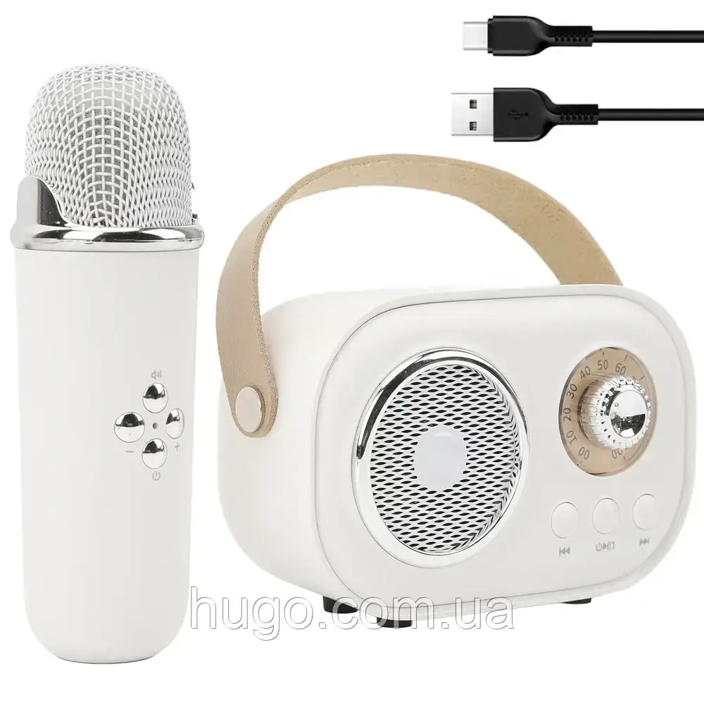 Портативна Bluetooth колонка для караоке з мікрофоном на акумуляторі / Акустична система для караоке