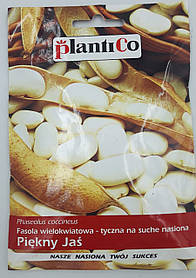Квасоля Файний Ясь біла 40г Плантіко Польща
