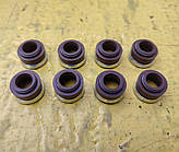 Комплект сальників клапанів МТЗ, Д240