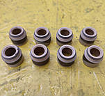 Комплект сальників клапанів МТЗ, Д240 металізовані
