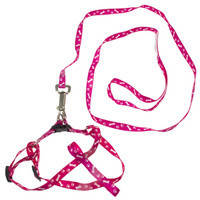 Повідець для маленьких собак pet 1.2 m