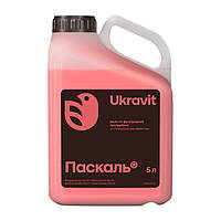 Протравник Паскаль 5 л.